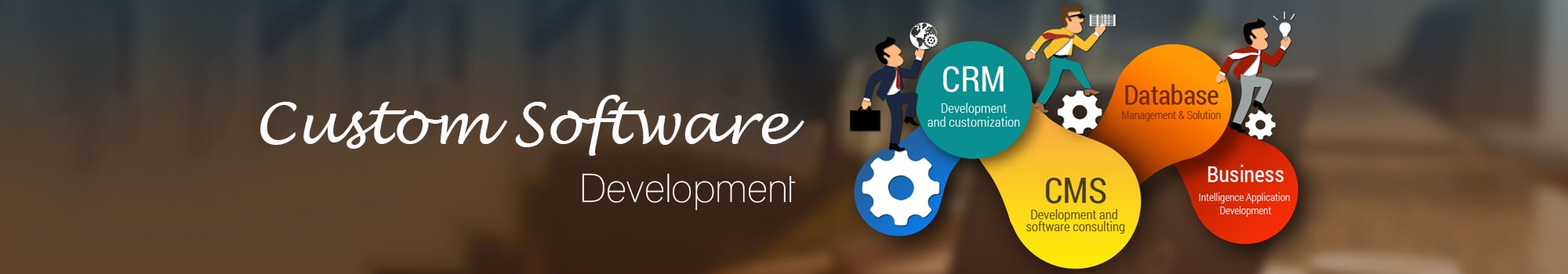 Custom Website Development Price